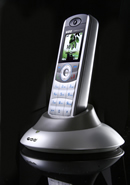 Dect